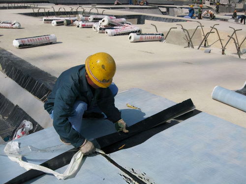 tpo pvc單層高分子防水卷材的優(yōu)勢(shì),一定有你不知道的